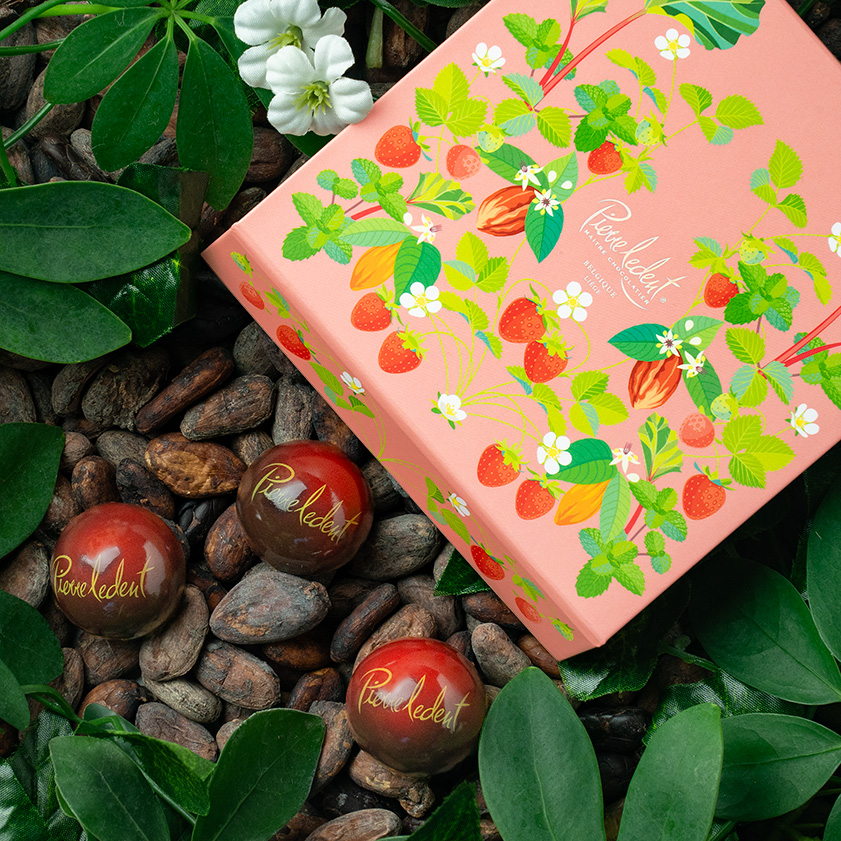 ▲コーティング加工▲ベルヴェデーレのアポロン　フランクリンミント　偉大な傑作集 ピエール・ルドン2025新商品！ | 海外の高級ベルギーチョコレートお