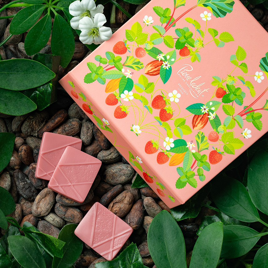 ▲コーティング加工▲ベルヴェデーレのアポロン　フランクリンミント　偉大な傑作集 ピエール・ルドン2025新商品！ | 海外の高級ベルギーチョコレートお