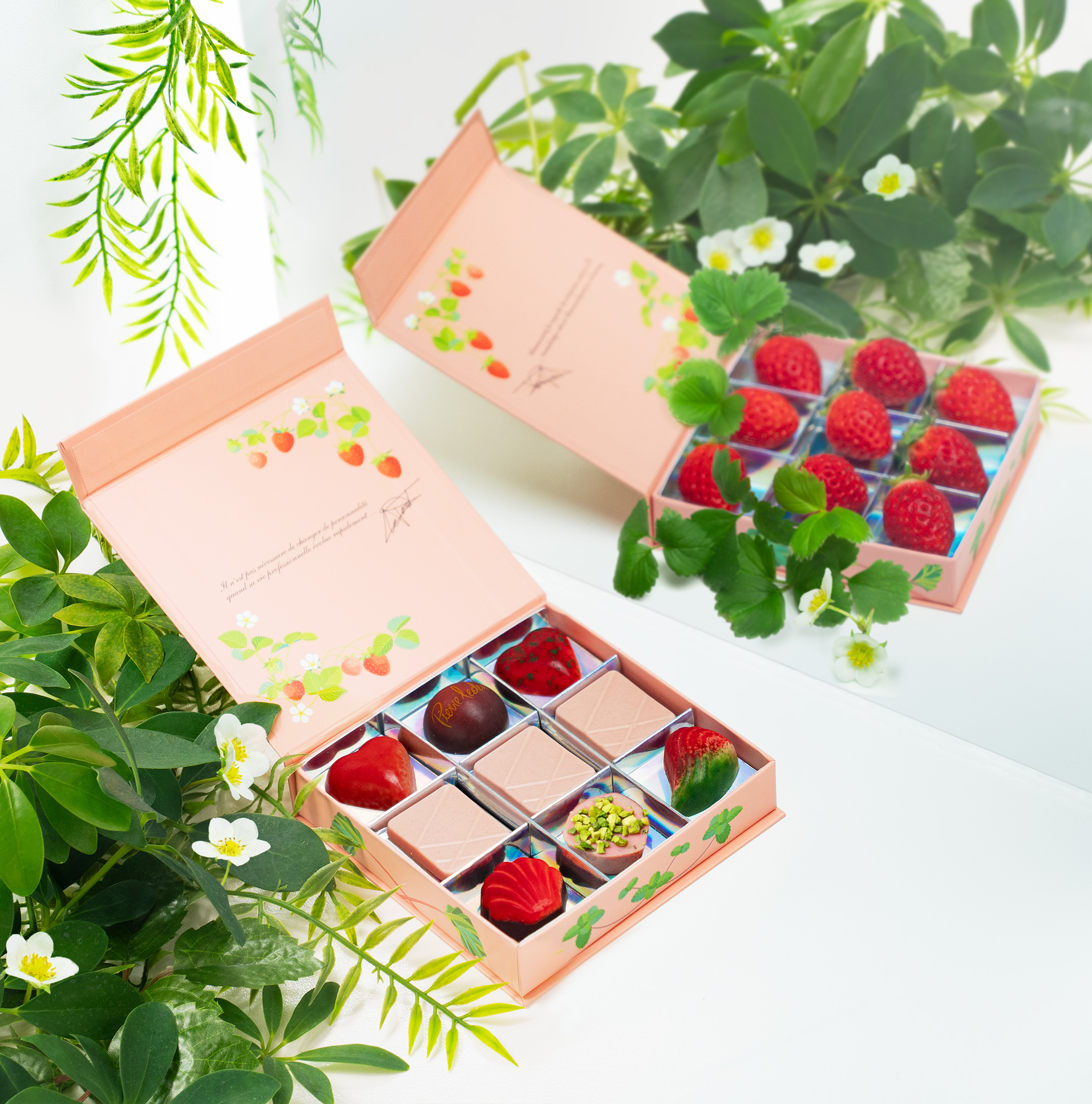 コフレフレーズ