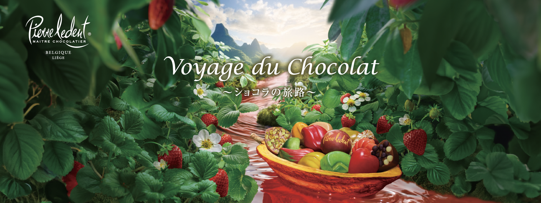 ピエール・ルドン2025イメージカット